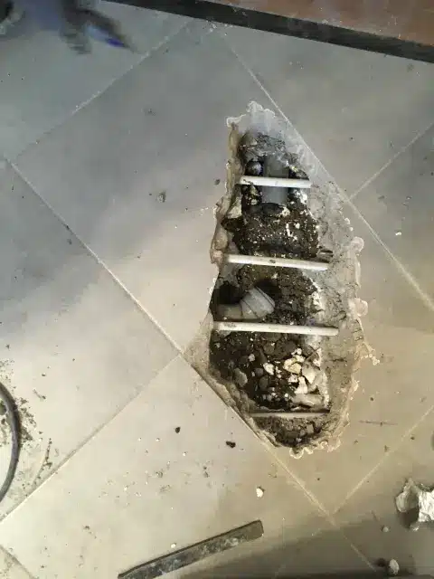 Előkészített terület