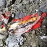 hibás-ötrétegű-csővezeték